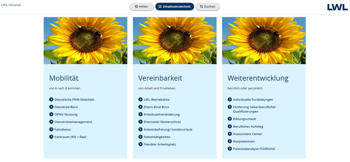 Screenshot Inklusives Intranet