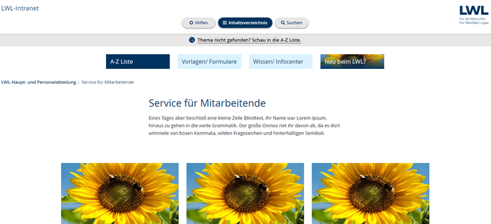 Screenshot Inklusives Intranet